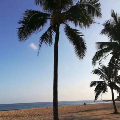 一路向南——自驾海南行（2）