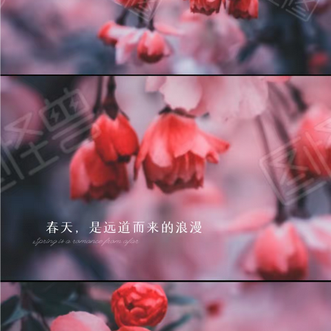万锦城3A期管理处2023年一月工作汇报