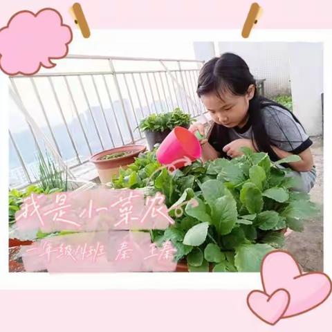 我是小学生，我最爱劳动