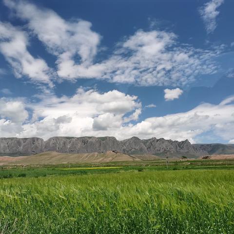 甘南巅峰之旅——夏河篇