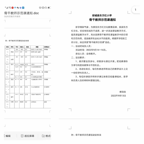 “头雁”做表率，率众比肩飞—汝南县第九小学开展“领头雁”教师精品课引领观摩活动