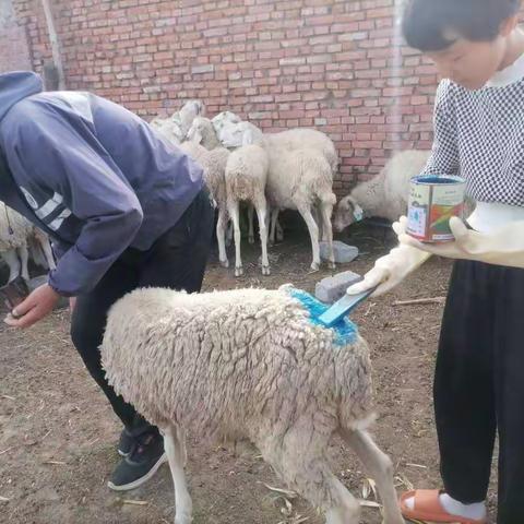 八年七班国庆假期生活🌹🌹