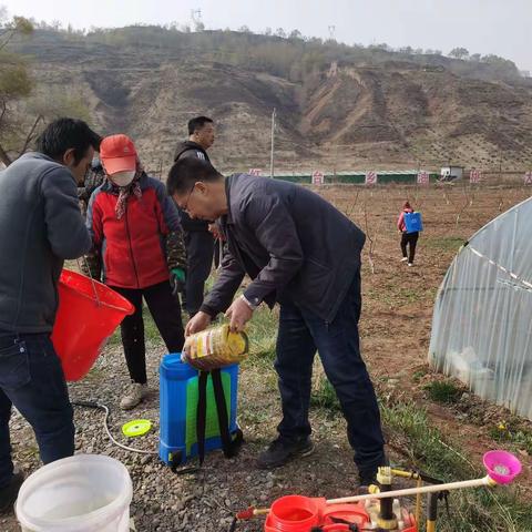 4月8日，州林技站组织人员到临夏县红台乡红水沟油桃基地开展学党史“我为群众办实事”的服务实践活动。