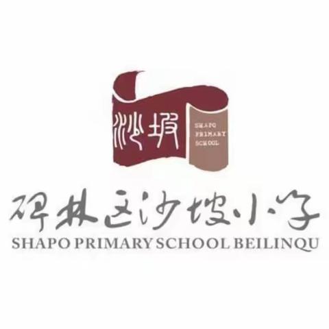 “减负不减教育，减负不减成长”  碑林区沙坡小学落实“双减”体育实践活动