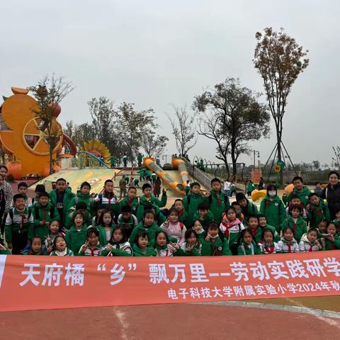 星光小五班的美篇