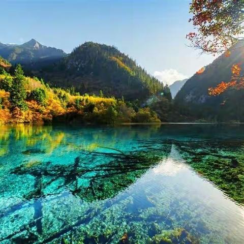 越努力、越幸运—记初一新入职教师（地理历史）导学案编写第三周指导会议