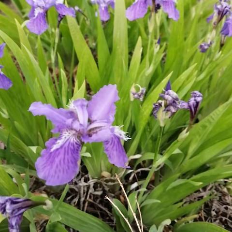4.18日打卡作业