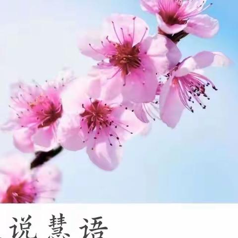 5.14日打卡作业