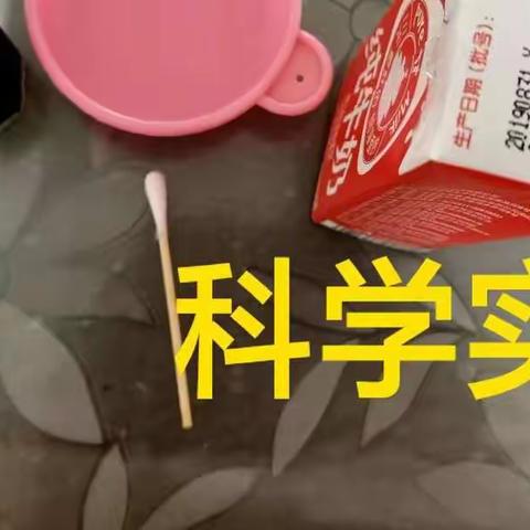 馨蕾幼儿园空中课堂(五十五)开播啦