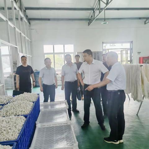 吴春亮深入庙沟镇调研指导乡村振兴典型项目调查等重点工作