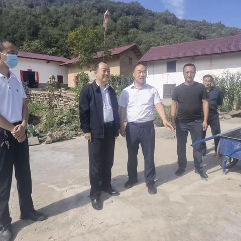 杨清平深入庙沟镇调研指导当前重点工作