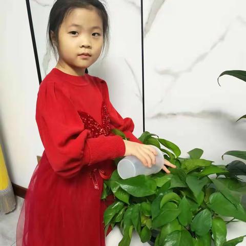 固安县第三小学一年级综合实践活动展示