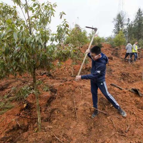 2018年春节后上班第一天义务植树活动