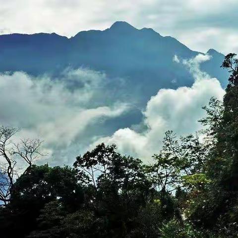 蝶恋花四首   宝岛掠影