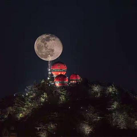 港晟全景的美篇