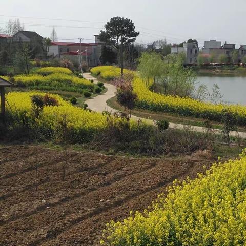 移步即景，春光无限好！