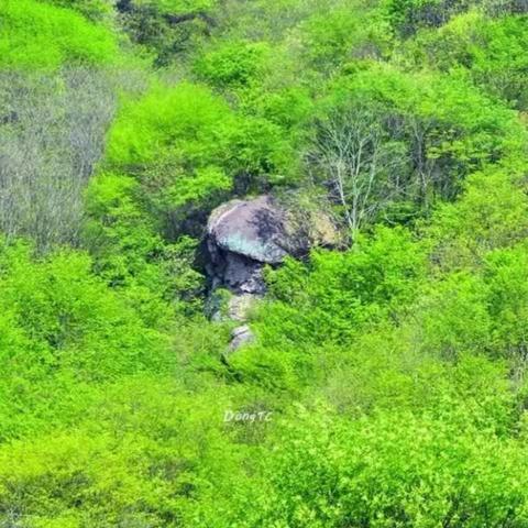 休闲之旅一马槽河画廊