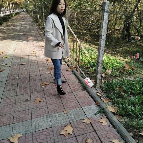 区财政局11月6日路长制工作动态