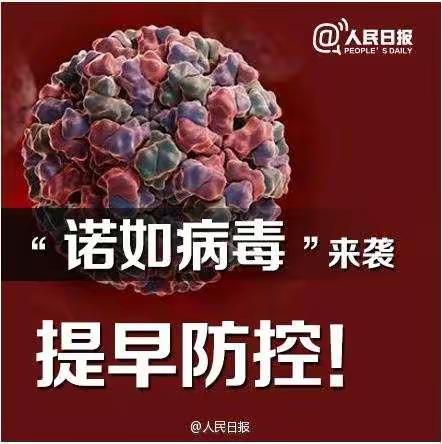 “诺如病毒”凶猛来袭 提早预防