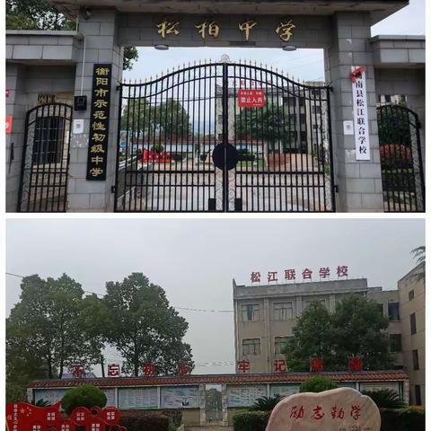 扬国球精粹，“乒”松江精神——衡南县松江联合学校首届教职工乒乓球大赛