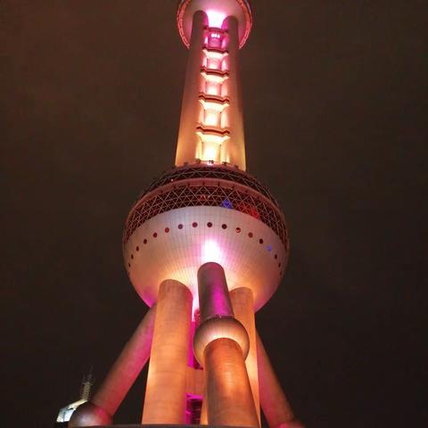 🏮金牛纳福 一一贺岁🏮