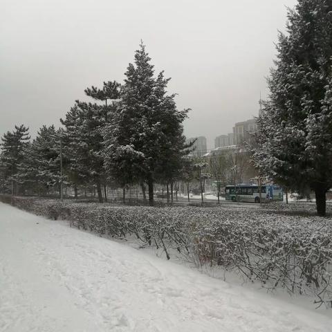 ❄️ 醉美雪景～靓丽青城❄️