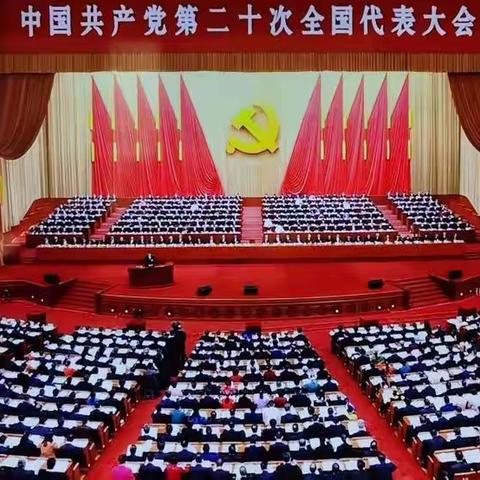 “喜迎二十大      逐梦向未来” —— 莲湖小学三(8)班收看二十大开幕盛况