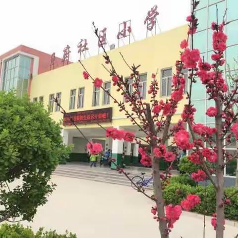 王府社区小学——三（2）班～寻找春天的足迹