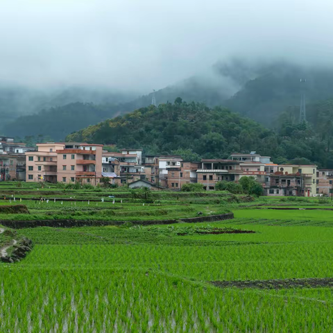 “乡村秀色，翰墨寄怀”新兴县老干部大学翔顺二区书法班第二课堂活动