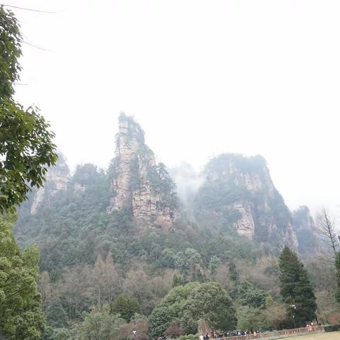 寻景雨不休 雾裹山疑失