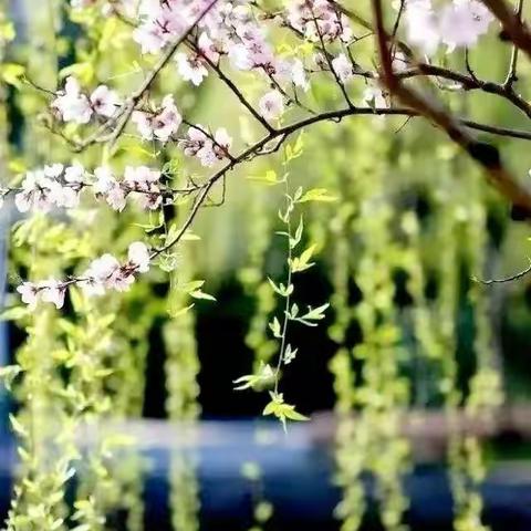 课堂展风采，交流促成长——实验中学青峰山校区初中部英语教研活动