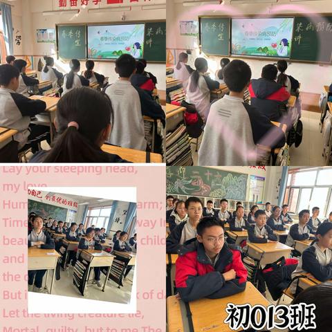 春季传染病 预防我先行——大同平城双语学校初中部春季传染病预防宣讲活动