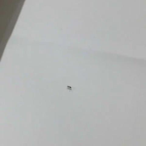 2718入住体验及建议