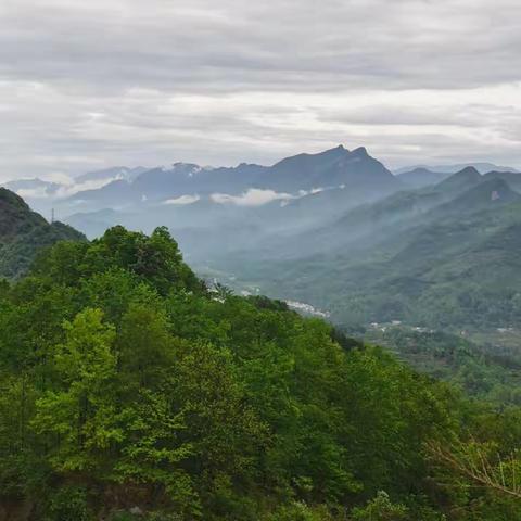 秦巴山游记（一）