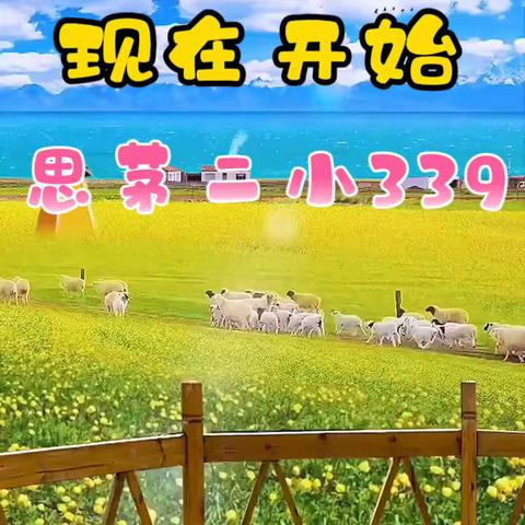 339做操练习日常