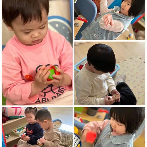 3月10日 宠物的家