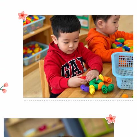 2月28日 彩蛋研究所