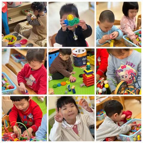 3月20日 跳舞虫实验