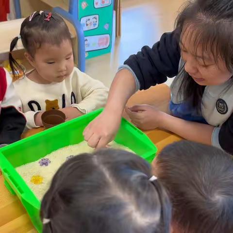 2月13日 小小园艺家