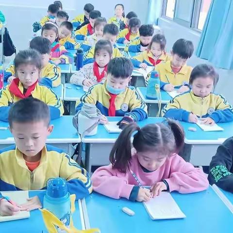 作业检查展风采 夯实常规提质量—长垣市南蒲街道樊屯小学作业检查及优秀作业展示