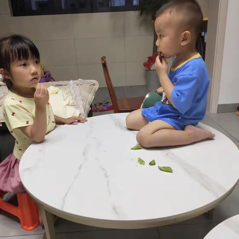 姐弟成长印迹，一起玩一起闹一起长大的日子