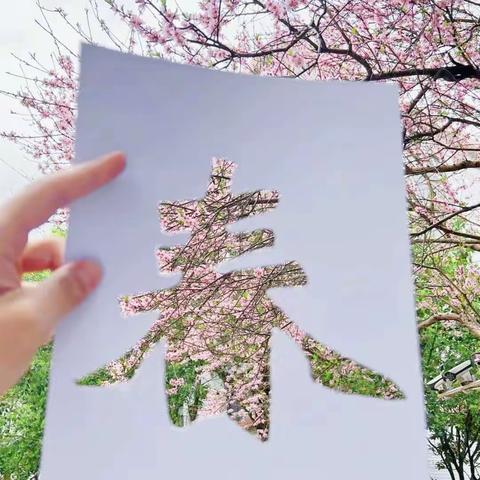 Full of spring 一起走进集贤镇赵代小学的春天