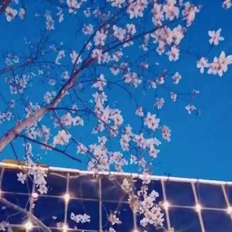 苍翠•欲流 向天际