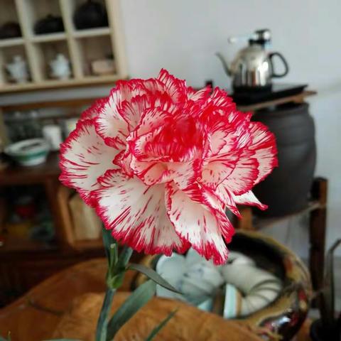 我2016年的回家旅程跟小妹婚礼记录