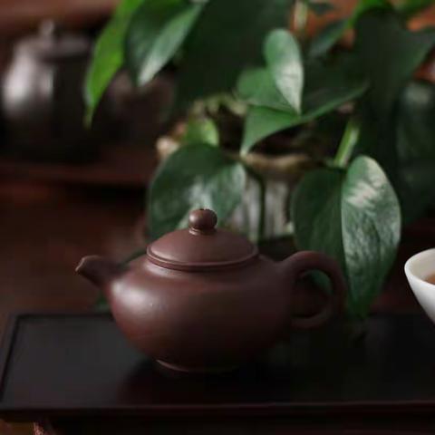 新出炉的几个小可爱