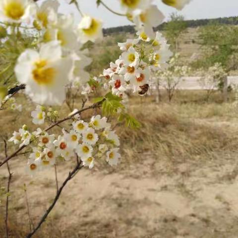停课不停学：冰冷的网络，温暖的你们！