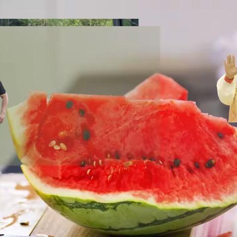 生态西瓜 田头直达会员舌头