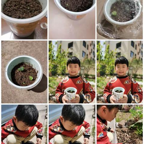 一年之计在于春，伴着春天的款款到来，第四小学一年级五班在班主任的带领下开展了“种下一粒籽”的活动。