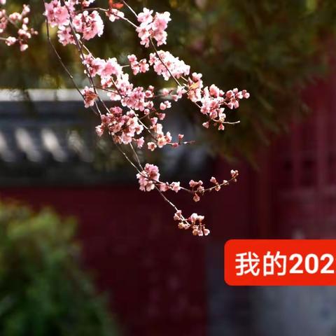 我的2022