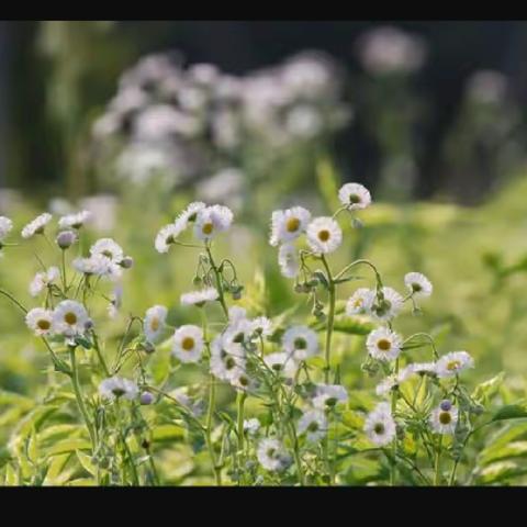 五月你好，快乐出发